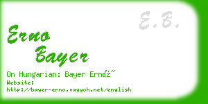 erno bayer business card